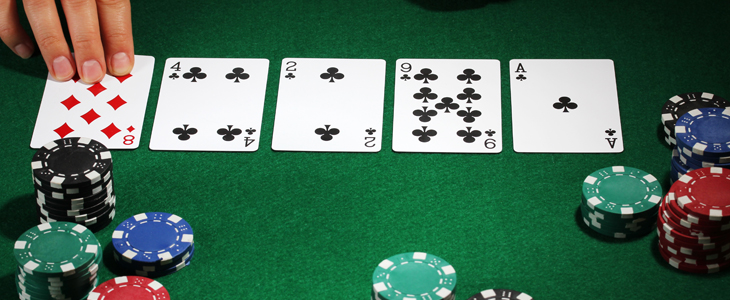 GCC3274_Poker_Spinbox_730x300px1