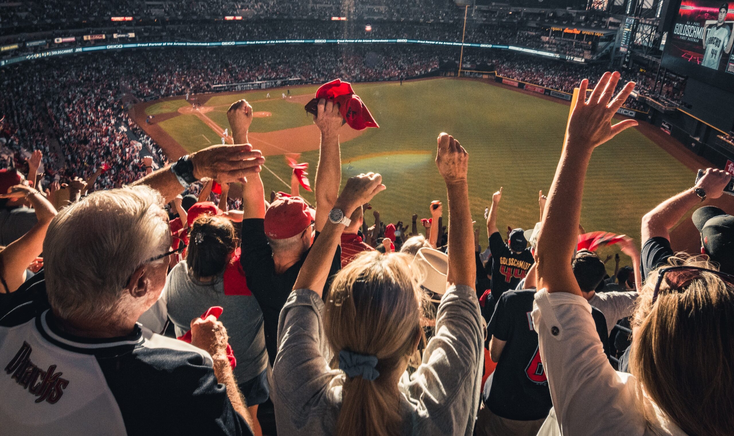 sports betting calculator